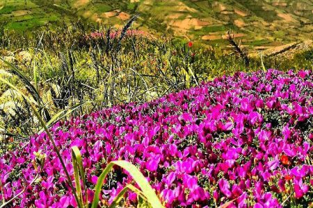 نگاهی به وجه تسمیه «آخر داغ » بجنورد