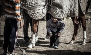 چابک سوار کوچک یکه سعود خراسان شمالی