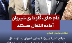دام های، گاوداری شیروان آماده انتقال هستند