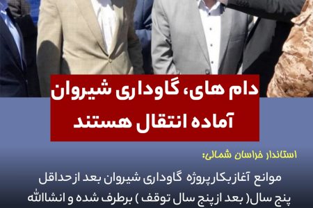 دام های، گاوداری شیروان آماده انتقال هستند