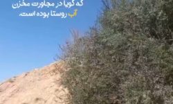آیا همیشه نخستین راهکار بهترین راهکار است؟!