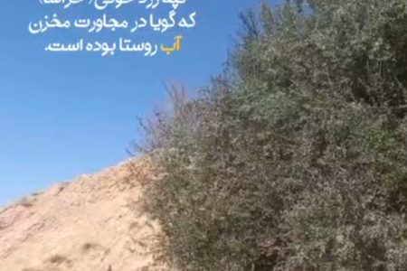 آیا همیشه نخستین راهکار بهترین راهکار است؟!