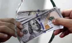 سد بزرگ ارز ترجیحی بر تولید داخل نهاده های دامی برداشته شد